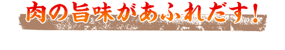 肉の旨味があふれだす！毎日仕入れる新鮮な焼肉をがっつり食べる！